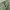 Vintage Avant Garde Casual pants Pria green photo 6