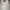 FRED PERRY WHITE SLIM FIT BUTTON DOWN SHORT SLEEVE OXFORD SH photo 3