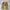 Streetwear Y2K Jeans Pria khaki photo 3