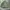 Undercover Streetwear Luxury Bomber jacket Pria green photo 1