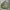 Undercover Streetwear Luxury Bomber Jacket Pria Green