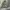 Undercover Streetwear Luxury Bomber jacket Pria green photo 2