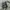Undercover Streetwear Luxury Bomber jacket Pria green photo 4
