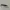 Brand New Authentic Patek Philippe 18k 750 white gold Watch  photo 8