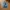 LONGPANTS LOIS BLUE JEANS photo 1