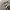 SCENT BAGGY GREY WASHED JEANS photo 6