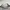 Chums Easy-Go Roll Top Shoulder Bag Original 100% authentic  photo 5