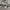 y2k parachute pants cargo spray photo 5