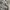 y2k parachute pants cargo spray photo 4