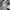 y2k parachute pants cargo spray photo 6