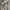 y2k parachute pants cargo spray photo 3