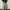 short pants gap  photo 2