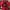KIA TIGERS  photo 3