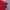 KIA TIGERS  photo 7