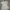 Set White photo 1