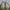 Nike Off-White x Air Jordan 4 "Sail" Retro photo 3