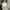 Massimo Dutti Women Knit Vest photo 3