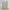 ♡✧ Lime Smocked Ruched Cami photo 1