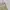 ♡✧ Lime Smocked Ruched Cami photo 3