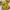 ♡✧ Cinema Club Yellow Floral Milkmaid Blouse photo 2