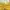 ♡✧ Cinema Club Yellow Floral Milkmaid Blouse photo 3