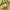 ♡✧ Cinema Club Yellow Floral Milkmaid Blouse photo 4
