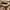 topi Supreme Banana 5-Panel  photo 2