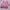 ♡✧ Pink Flare Top+ Pink Skirt SET photo 1