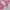 ♡✧ Pink Flare Top+ Pink Skirt SET photo 3