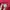 VETEMENTS Luxury Hoody Pria red photo 5