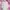 Zimmermann Aneke Patch Long Slevee photo 3