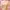MDS Lace Wonen Crop Top photo 1