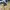 Under Armour Streetwear Casual Short Pria tan photo 5