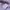 The North Face TNF Lilac Hoodie Jaket Anak photo 6