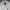 Champion Streetwear Sportswear Track jacket Pria white photo 4