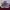 Under Armour Curry 4 FlorTro Vivid Lilac photo 1