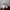 Under Armour Curry 4 FlorTro Vivid Lilac photo 3