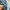Dior Vintage Y2K Kimono Wanita blue photo 5