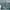National Geographic Natgeo Teal Green Celana Pendek Anak photo 6