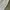 Carhartt White Hammer Loop Carpenter Pants  photo 4