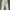 Carhartt White Hammer Loop Carpenter Pants  photo 5