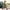 Zadig & Voltaire Kids Olive Military Bordir Badge Jaket Anak photo 3