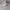 Nike Air Jordan Casual Casual shoe Pria gold white photo 3