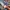Celana Jeans Bootcut Levis Denim merk Polham, jeans bootcut, photo 6