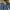 Celana Jeans Denim Levis merk Kanturu, jeans bootcut, levis  photo 5
