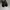 Nike Zoom Fly Mercurial Flyknit X Off - White photo 3