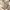 Aesthetic Ivory Mini Bag Gold Hardware Clean Girl Style photo 4