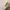 Aesthetic Ivory Mini Bag Gold Hardware Clean Girl Style photo 5