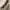 Aesthetic Ivory Mini Bag Gold Hardware Clean Girl Style photo 2