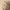 Etienne Aigner Monogram Shoulder Bag Cream Beige Vintage Y2K